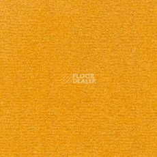 Ковролин Radici Nexus Papaya 2428 фото 1 | FLOORDEALER